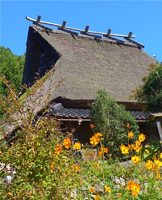 גג מסורתי של בית כפר