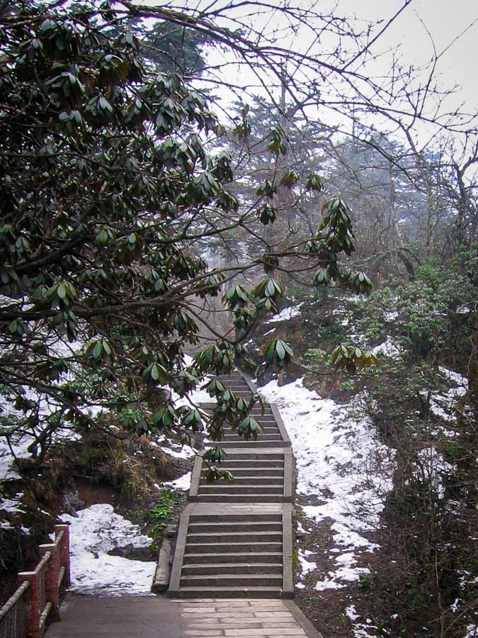 מדרגות עם שלג באמי שאן