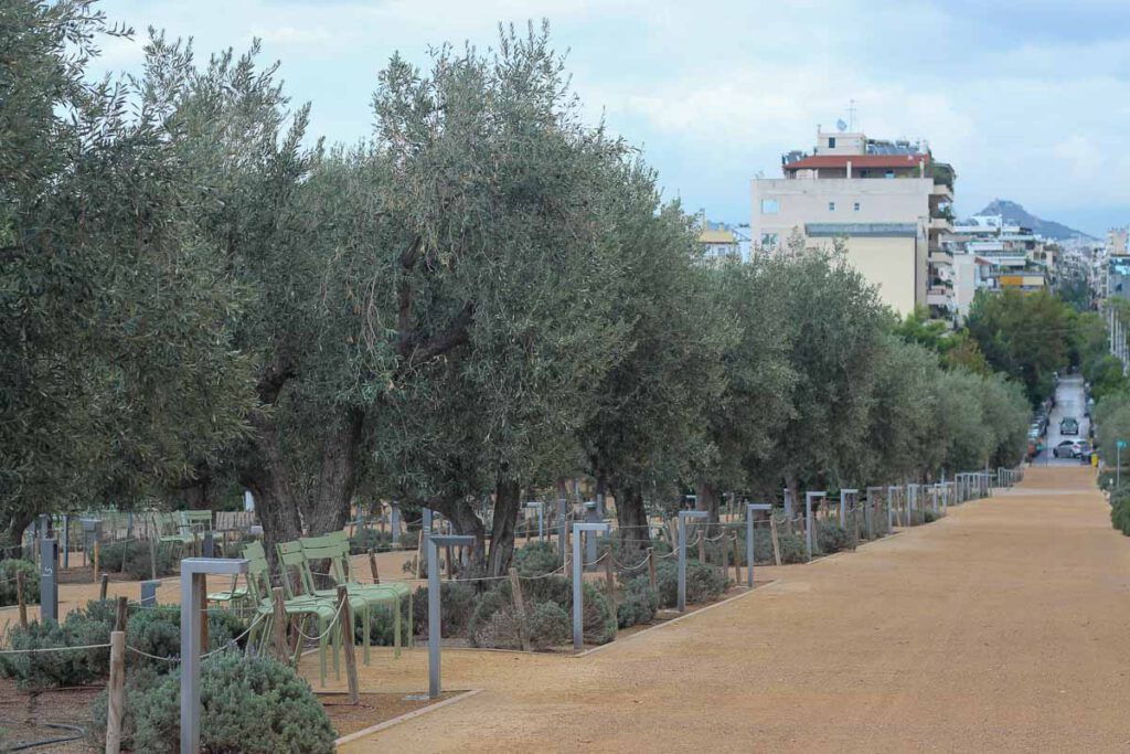 מרכז התרבות החדש באתונה - שדרת עצי זית