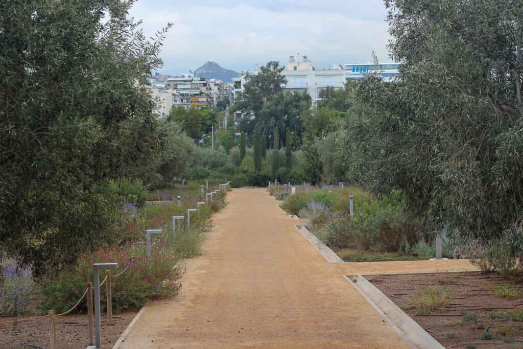 מרכז התרבות החדש באתונה - שביל עם צמחיה בפארק